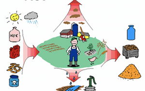 Emma CLEMENT, 2024. Adaptation of the methods used in Life Cycle Assessment to evaluate the ecotoxicological impact of trace elements in agricultural soils amended with organic waste products.