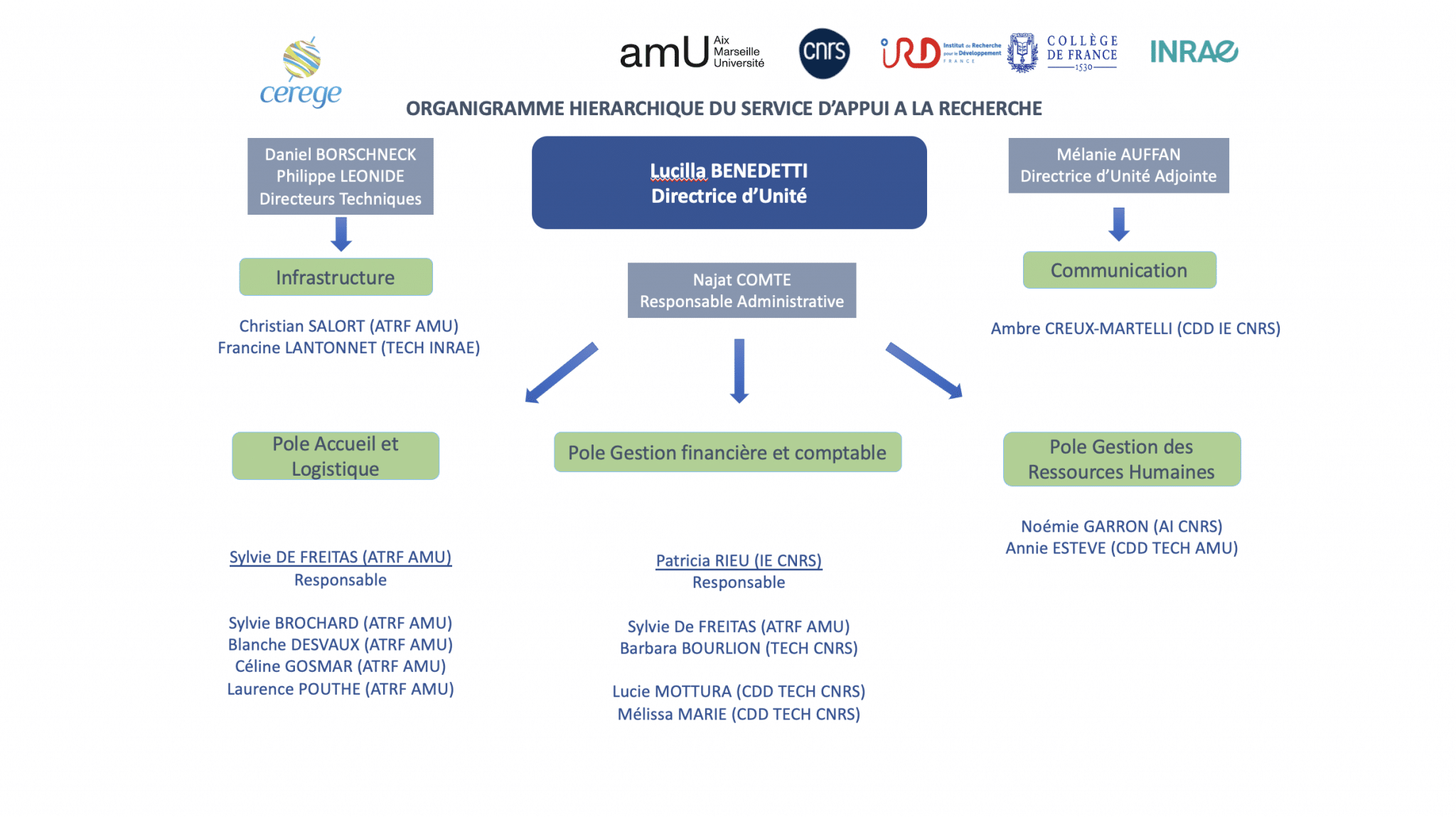 ORGANIGRAMME HIÉRARCHIQUE SAR